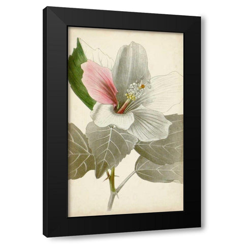 Silvery Botanicals VI Black Modern Wood Framed Art Print by Vision Studio