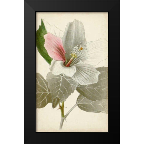 Silvery Botanicals VI Black Modern Wood Framed Art Print by Vision Studio