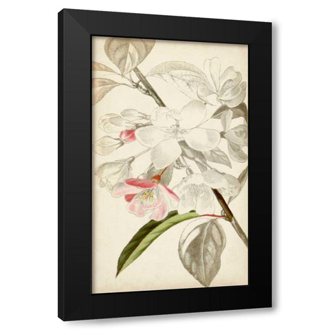 Silvery Botanicals VIII Black Modern Wood Framed Art Print by Vision Studio