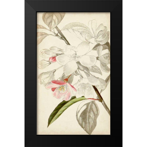 Silvery Botanicals VIII Black Modern Wood Framed Art Print by Vision Studio