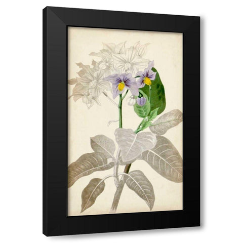 Silvery Botanicals IX Black Modern Wood Framed Art Print with Double Matting by Vision Studio