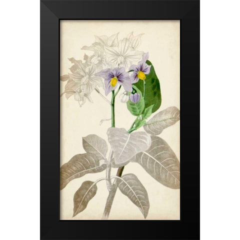 Silvery Botanicals IX Black Modern Wood Framed Art Print by Vision Studio