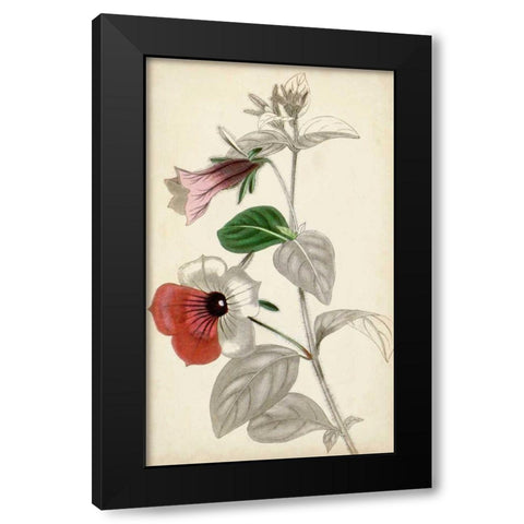 Silvery Botanicals X Black Modern Wood Framed Art Print with Double Matting by Vision Studio