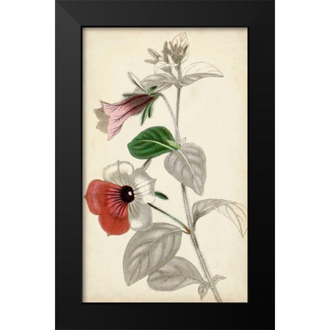 Silvery Botanicals X Black Modern Wood Framed Art Print by Vision Studio