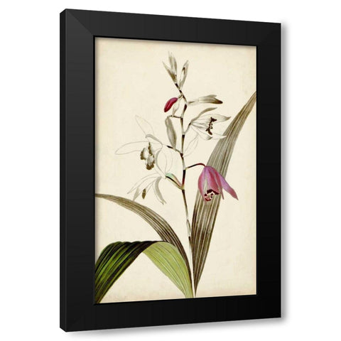 Silvery Botanicals XI Black Modern Wood Framed Art Print with Double Matting by Vision Studio