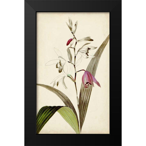 Silvery Botanicals XI Black Modern Wood Framed Art Print by Vision Studio