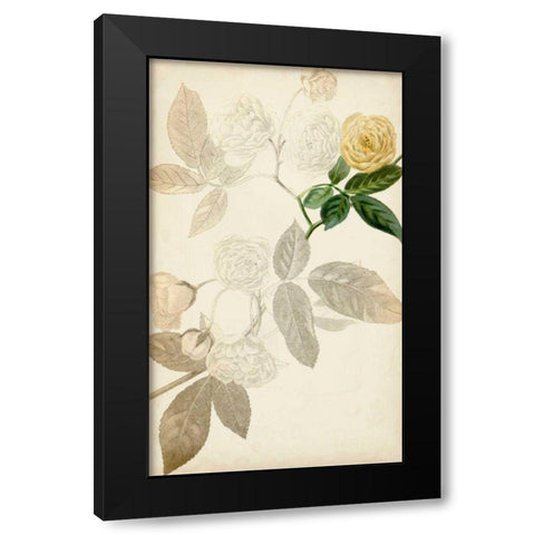 Silvery Botanicals XII Black Modern Wood Framed Art Print with Double Matting by Vision Studio