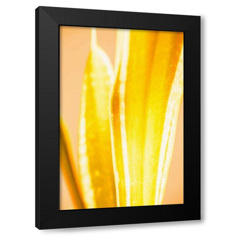 Hot House II Black Modern Wood Framed Art Print by Stramel, Renee W.