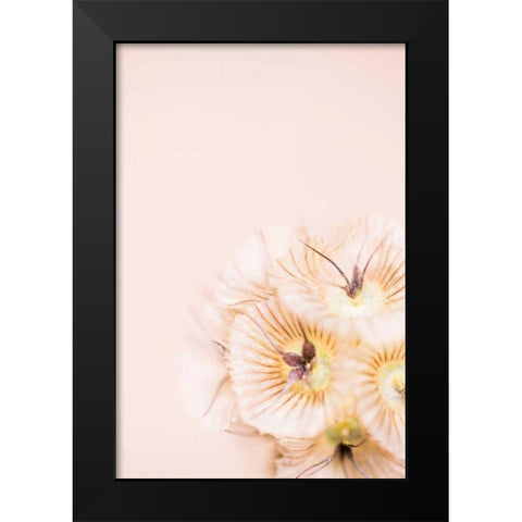 Bleach Blonde I Black Modern Wood Framed Art Print by Stramel, Renee W.