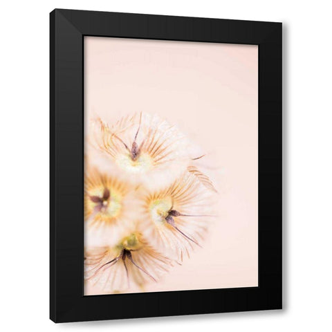 Bleach Blonde III Black Modern Wood Framed Art Print with Double Matting by Stramel, Renee W.