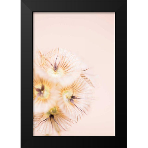 Bleach Blonde III Black Modern Wood Framed Art Print by Stramel, Renee W.