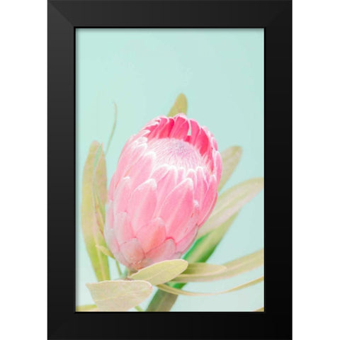 Sun Drenched Blossom I Black Modern Wood Framed Art Print by Stramel, Renee W.