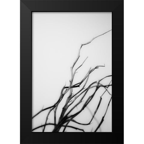 Searching Branches I Black Modern Wood Framed Art Print by Stramel, Renee W.