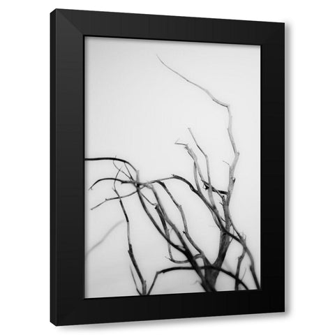 Searching Branches II Black Modern Wood Framed Art Print by Stramel, Renee W.