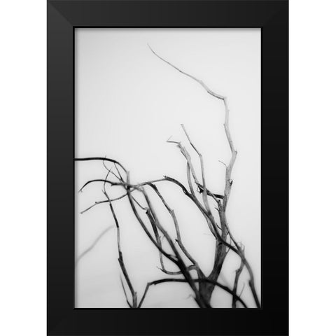 Searching Branches II Black Modern Wood Framed Art Print by Stramel, Renee W.