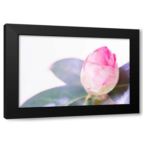 Halogen Bloom I Black Modern Wood Framed Art Print by Stramel, Renee W.