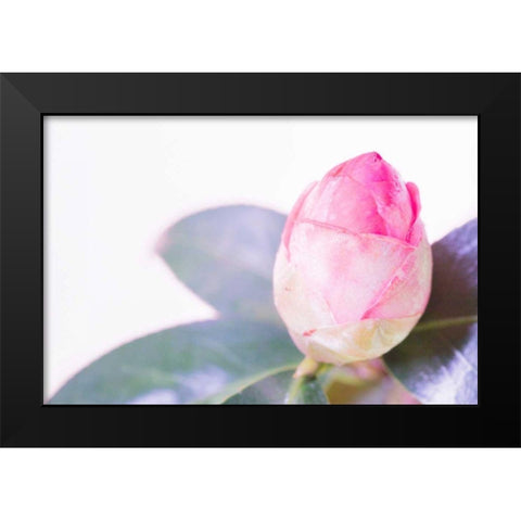 Halogen Bloom I Black Modern Wood Framed Art Print by Stramel, Renee W.