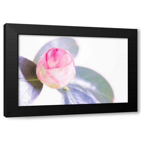 Halogen Bloom II Black Modern Wood Framed Art Print with Double Matting by Stramel, Renee W.