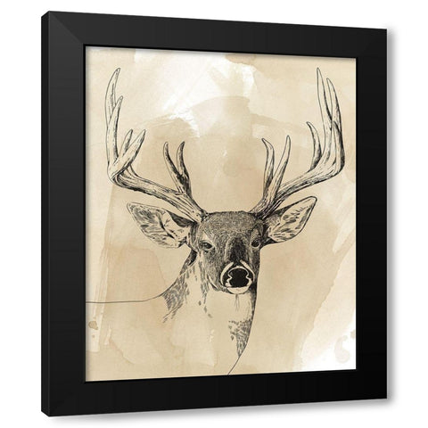 Burnished Buck I Black Modern Wood Framed Art Print by Popp, Grace