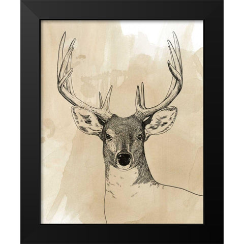 Burnished Buck II Black Modern Wood Framed Art Print by Popp, Grace
