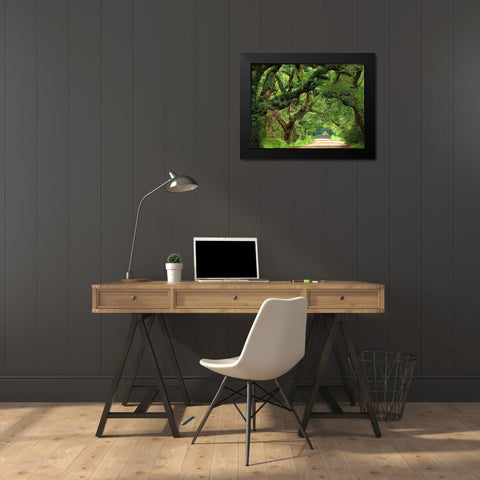 Canopy Road V Black Modern Wood Framed Art Print by McLoughlin, James
