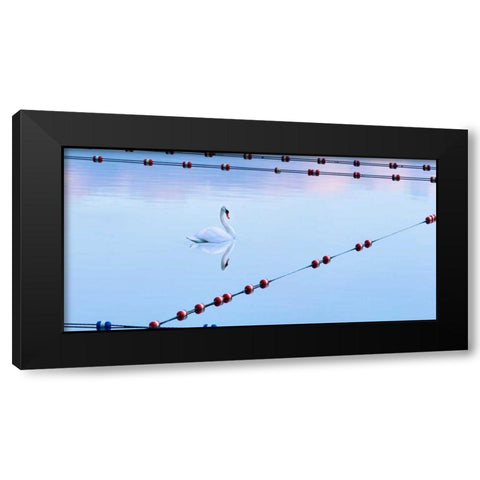 Swan and Ropes Black Modern Wood Framed Art Print by McLoughlin, James