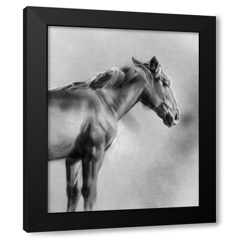 Charcoal Equine Portrait I Black Modern Wood Framed Art Print by Caroline, Emma