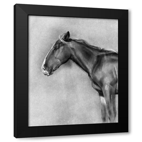 Charcoal Equine Portrait II Black Modern Wood Framed Art Print by Caroline, Emma