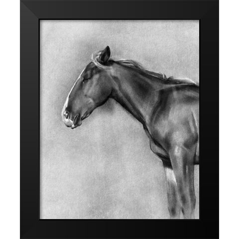 Charcoal Equine Portrait II Black Modern Wood Framed Art Print by Caroline, Emma