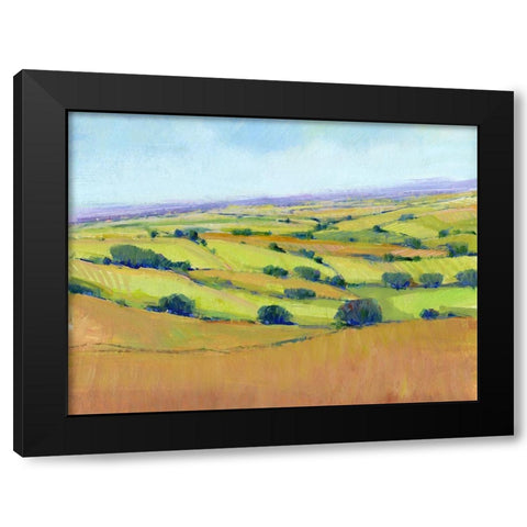 Patchwork Vista I Black Modern Wood Framed Art Print with Double Matting by OToole, Tim