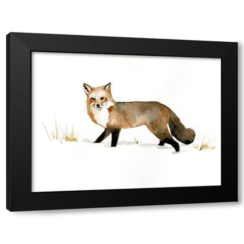 Winter Fox II Black Modern Wood Framed Art Print by Barnes, Victoria