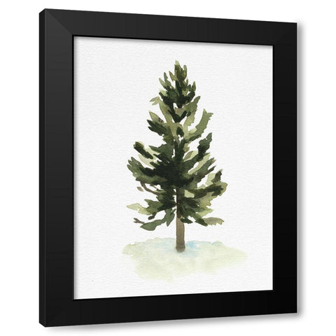 Watercolor Pine I Black Modern Wood Framed Art Print with Double Matting by Caroline, Emma