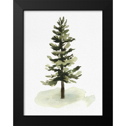 Watercolor Pine II Black Modern Wood Framed Art Print by Caroline, Emma