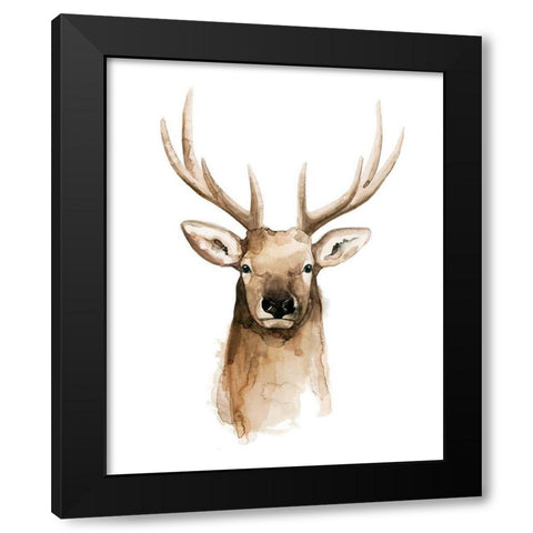 Watercolor Elk Portrait II Black Modern Wood Framed Art Print with Double Matting by Popp, Grace