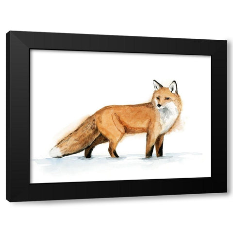 Snow Fox I Black Modern Wood Framed Art Print with Double Matting by Popp, Grace