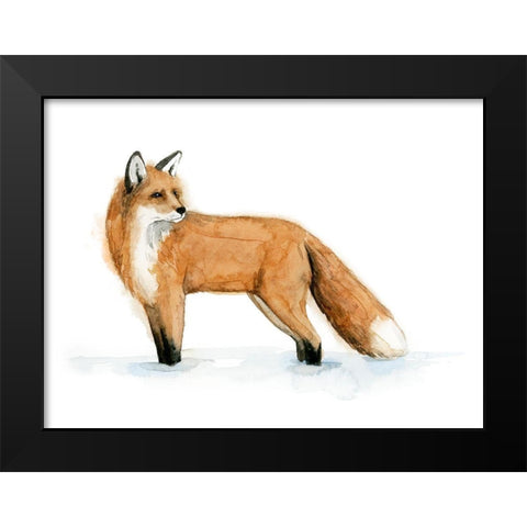 Snow Fox II Black Modern Wood Framed Art Print by Popp, Grace
