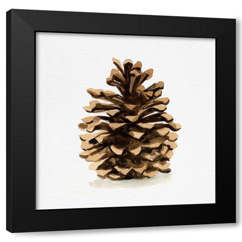 Conifer Cone I Black Modern Wood Framed Art Print by Caroline, Emma