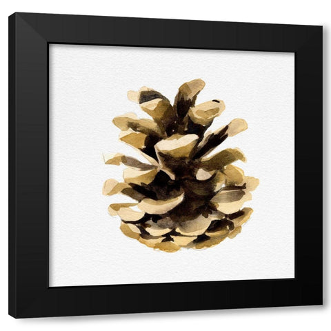 Conifer Cone II Black Modern Wood Framed Art Print with Double Matting by Caroline, Emma