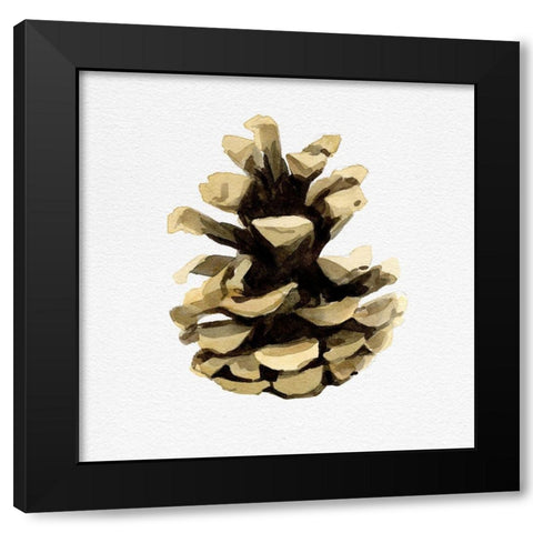 Conifer Cone III Black Modern Wood Framed Art Print by Caroline, Emma