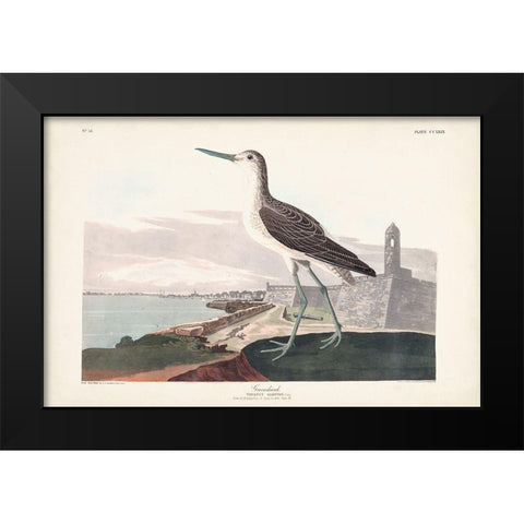 Pl. 269 Greenshank Black Modern Wood Framed Art Print by Audubon, John James