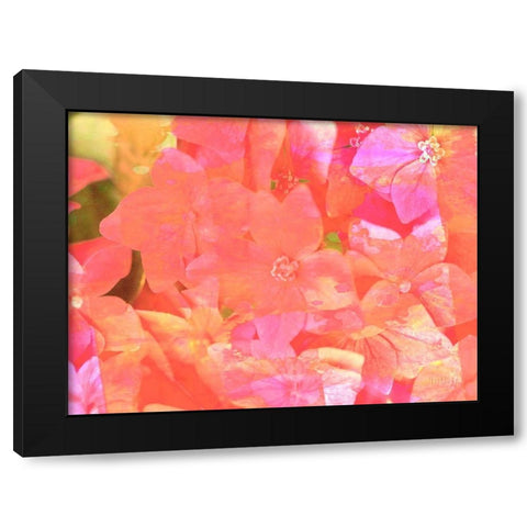 Joyful Summer II Black Modern Wood Framed Art Print by Bane, Eva
