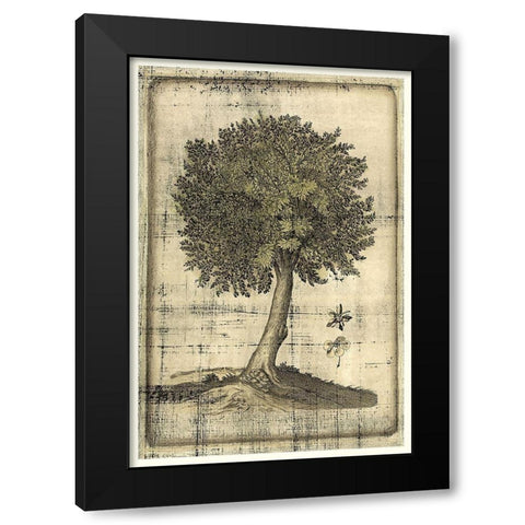 Fruitful Realm I Black Modern Wood Framed Art Print with Double Matting by Vision Studio