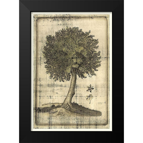 Fruitful Realm I Black Modern Wood Framed Art Print by Vision Studio