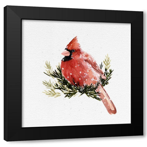 Cardinal with Snow II Black Modern Wood Framed Art Print by Caroline, Emma