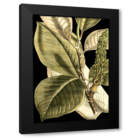 Tranquil Tropical Leaves II Black Modern Wood Framed Art Print with Double Matting by Vision Studio