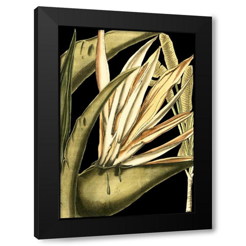 Tranquil Tropical Leaves III Black Modern Wood Framed Art Print with Double Matting by Vision Studio