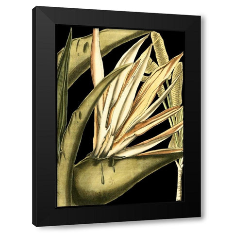 Tranquil Tropical Leaves III Black Modern Wood Framed Art Print by Vision Studio