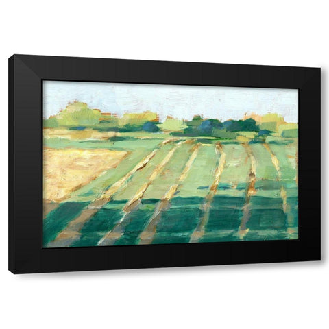 Mid Summer Shadows II Black Modern Wood Framed Art Print by Harper, Ethan
