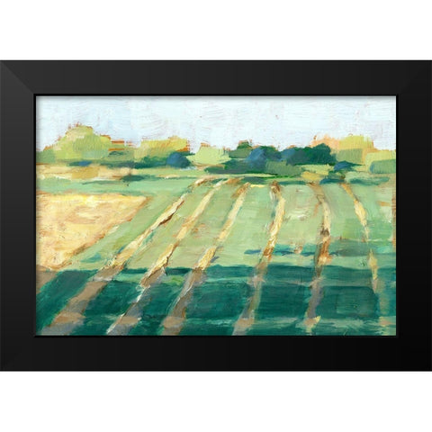 Mid Summer Shadows II Black Modern Wood Framed Art Print by Harper, Ethan
