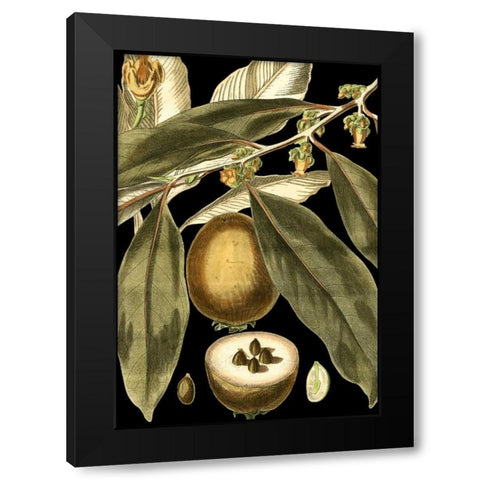 Tranquil Tropical Leaves IV Black Modern Wood Framed Art Print by Vision Studio